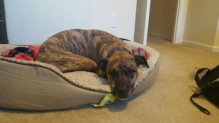 NWR: Puppy Friday!!