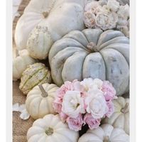 Outside ceremony decorations