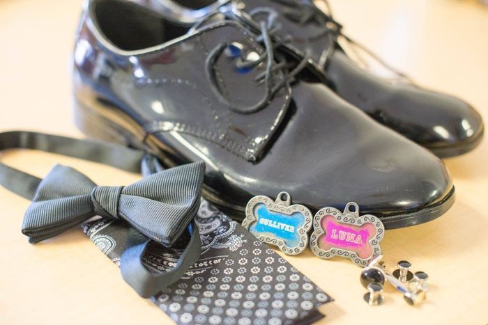 Pro Bam!!! Pic Heavy