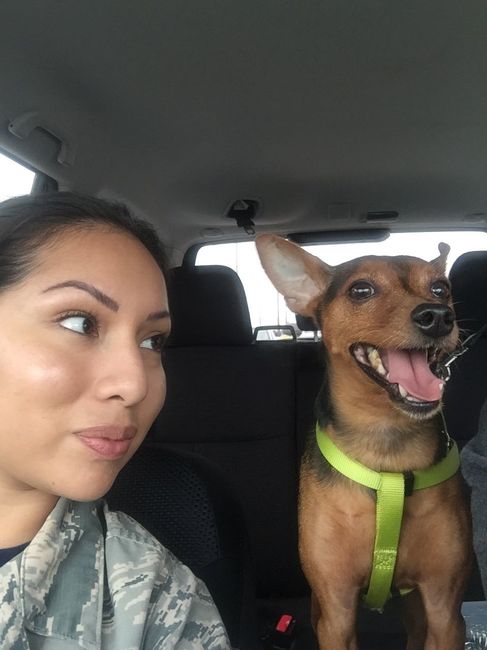NWR: My dog had a seizure