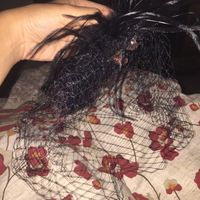 Help! My veil just arrived