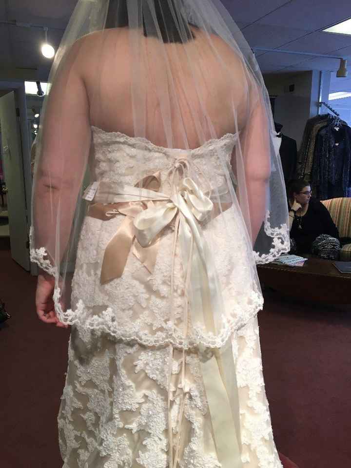 WO Dress 4 Back (current train wreck - it's corsetted but this was wrong size and wrong color)