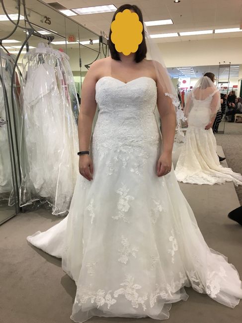 DB Dress 2