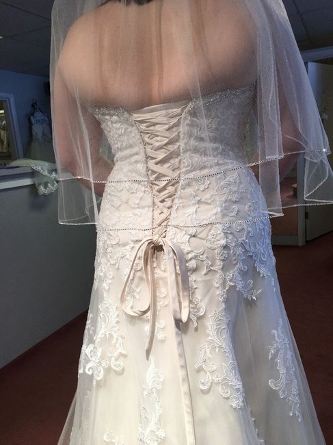 WO Dress 3 Back