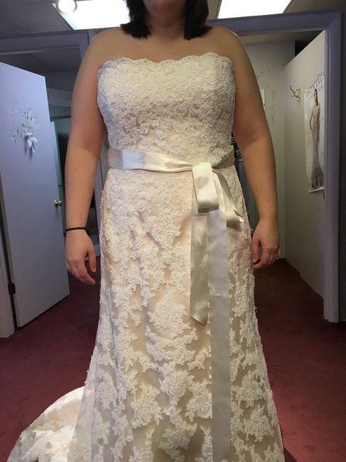 WO Dress 4 (would want ivory underlay, not gold... and want ivory ribbon (there's a gold one underne