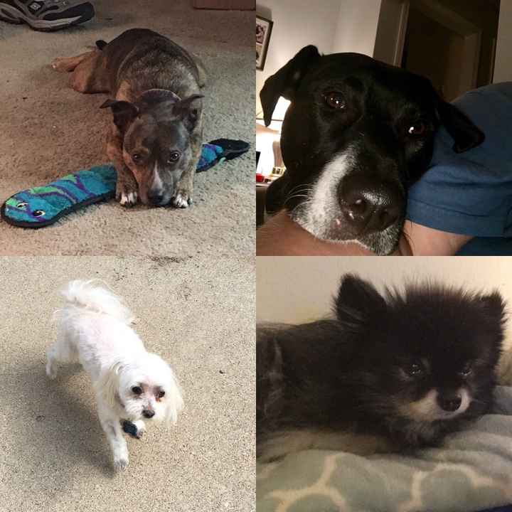 NWR: Show me your pups!