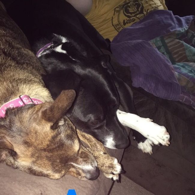 NWR: New puppy!