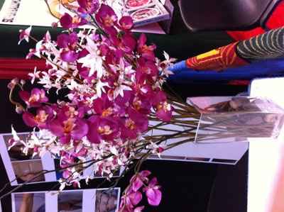 What exactly are these? *PIC*