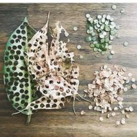 Saw this on Facebook and thought it was an amazing idea! Thoughts? - 1