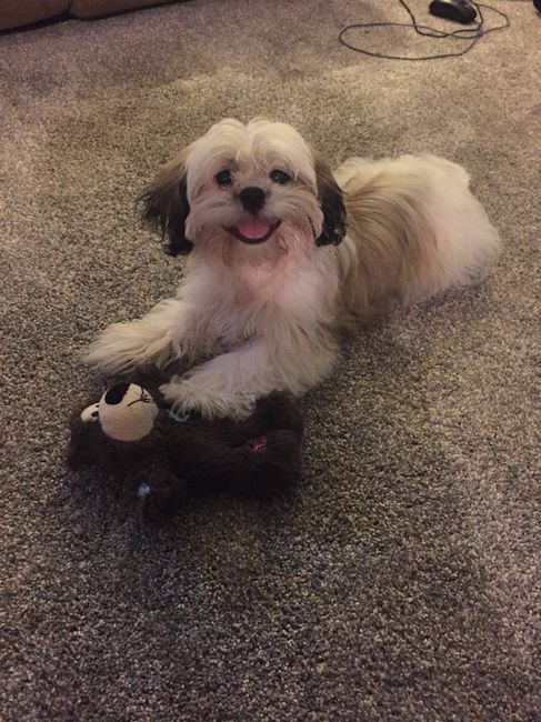 His happy smile