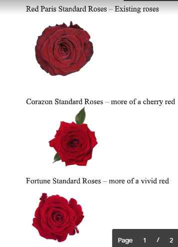 Flower Choices (they used the Red Paris)