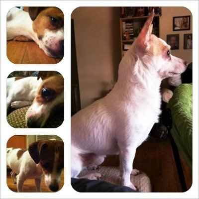 It's my baby's 1st Birthday! (PICS)