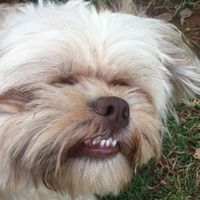 NWR- let me see your fur babies, awake and scared