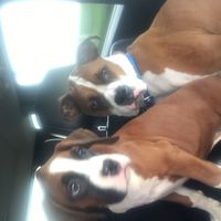 Nwr- show me your fur babies