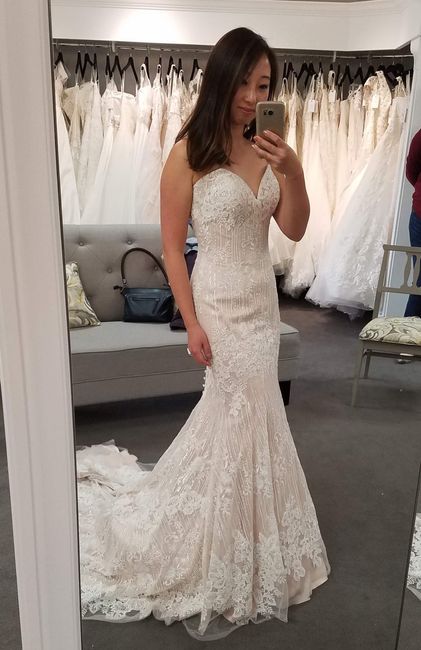 Mermaid/trumpet wedding gowns! 23