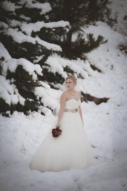 Pic-Heavy Bridal Portraits, I'm literally speechless!!