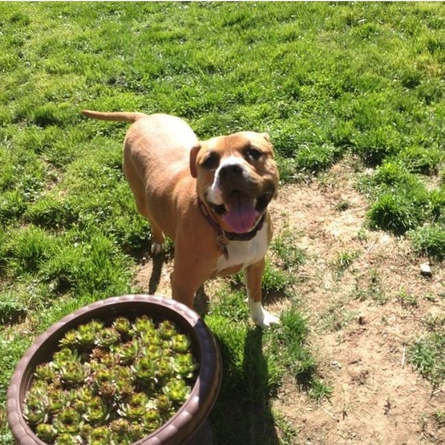NWR: post pics of your pets!!