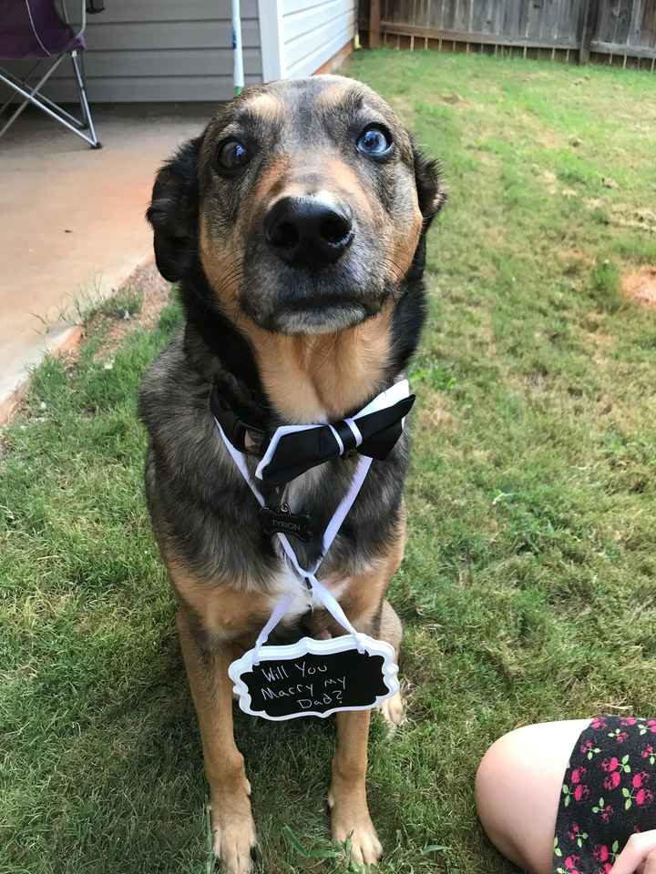 NWR: National Dog Day!