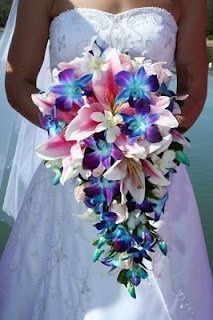 Suggestions for Tampa Bay florist?