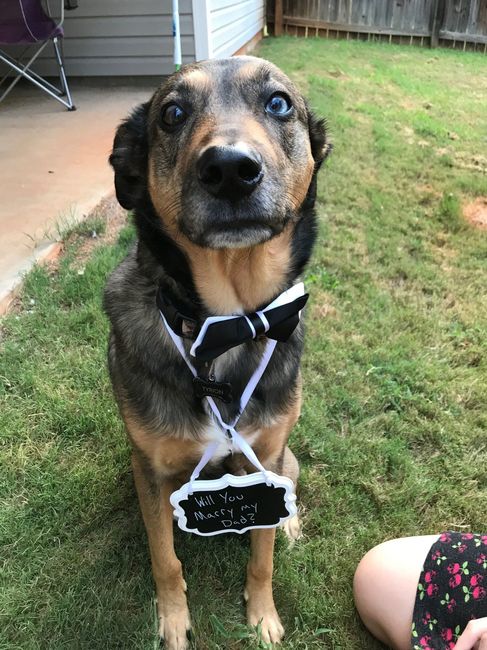 NWR: National Dog Day!