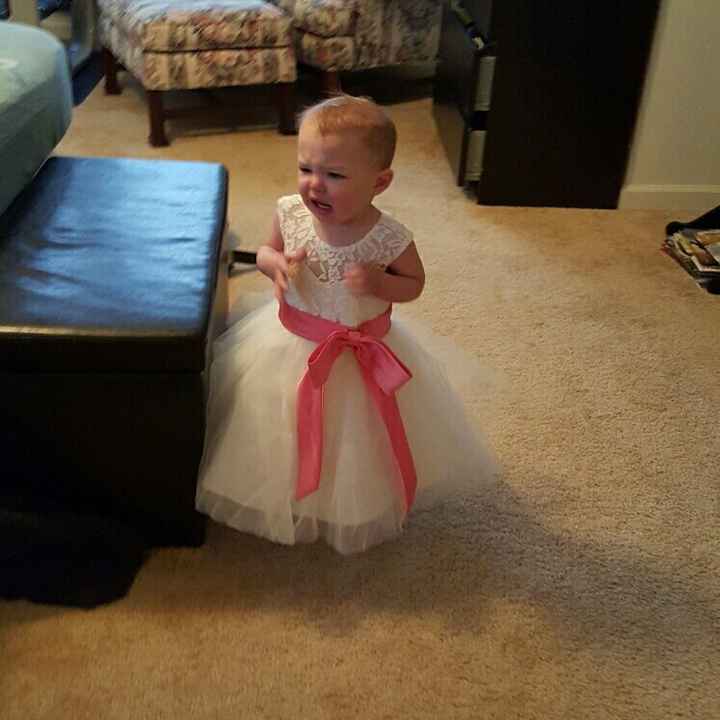 Flower girl dress came in