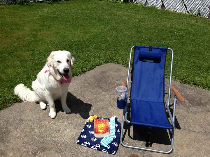 NWR: Lets See Your Fur Babies!