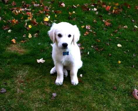 NWR: ALL THE CUTE THINGS!!