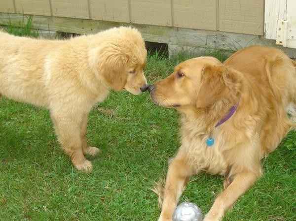 NWR: ALL THE CUTE THINGS!!