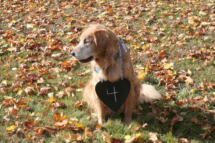 Table numbers (what are you using)?