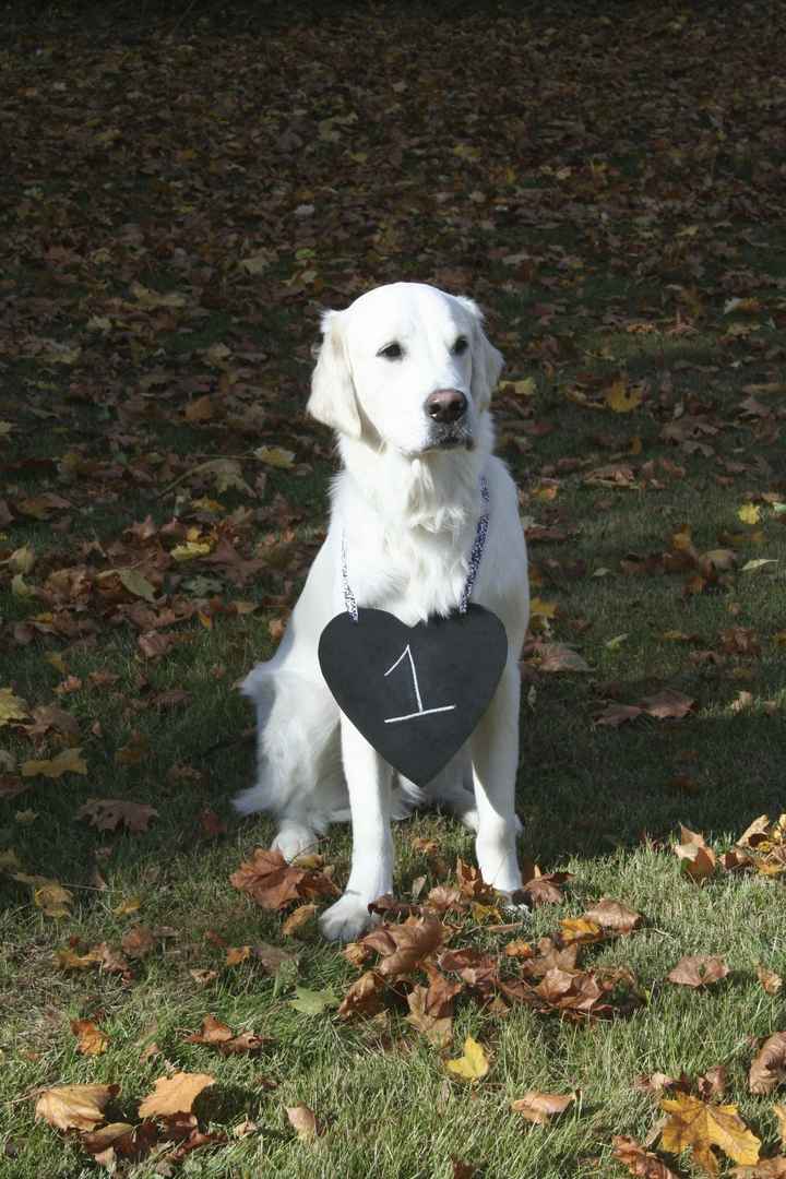 Creative Brides: Let me see your table numbers???