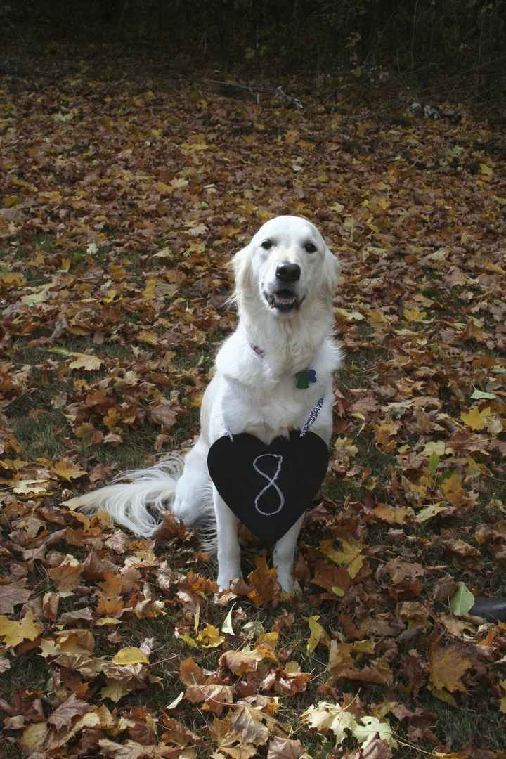 Creative Brides: Let me see your table numbers???