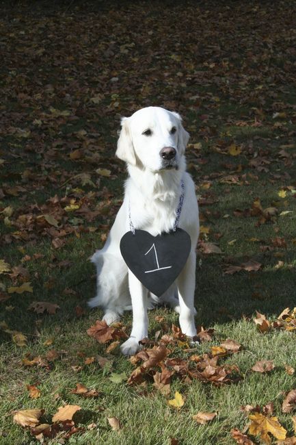 Table numbers (what are you using)?