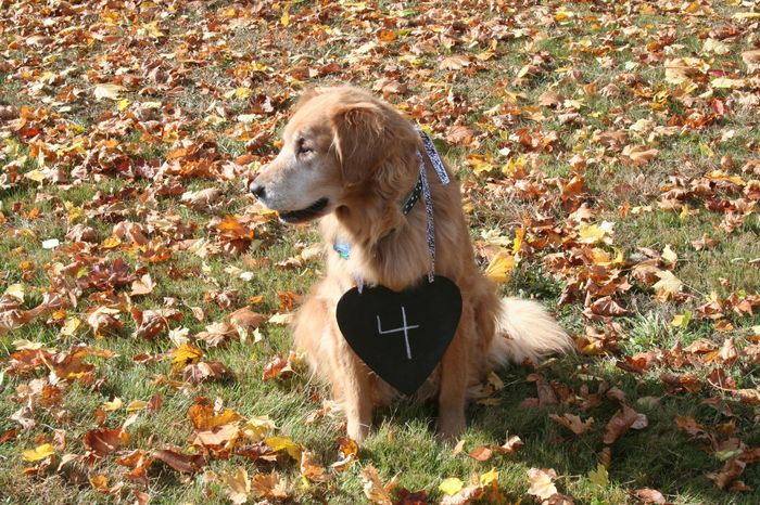 Table numbers (what are you using)?