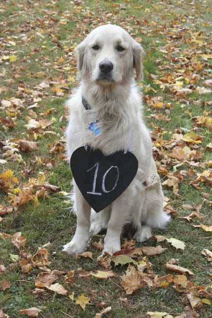 Creative Brides: Let me see your table numbers???
