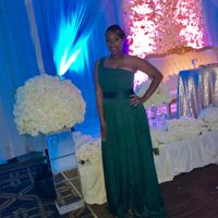 Bridesmaid Dress Decisions - Need Opinions! - 1