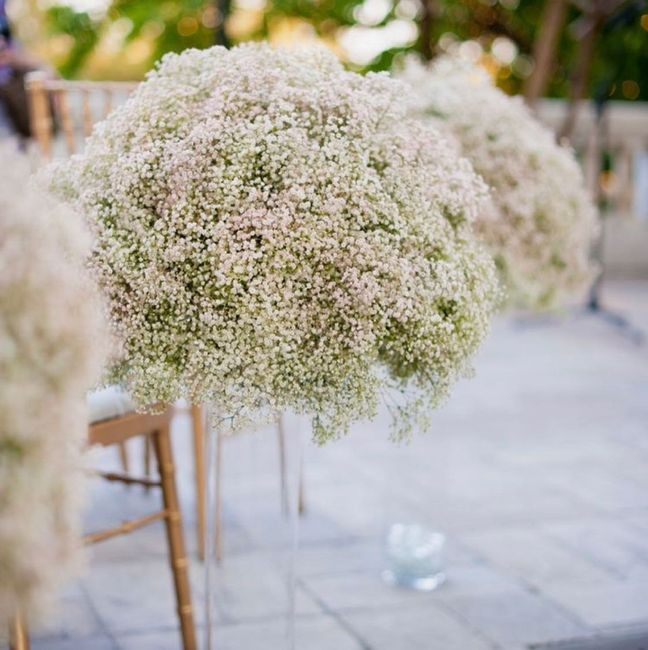 Help! Florist said beware of baby's breath for centerpieces! 2