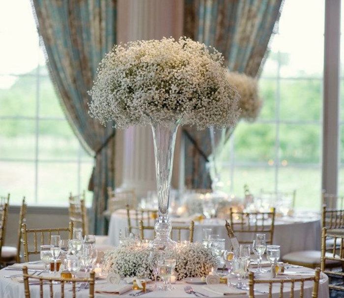 Help! Florist said beware of baby's breath for centerpieces! 4