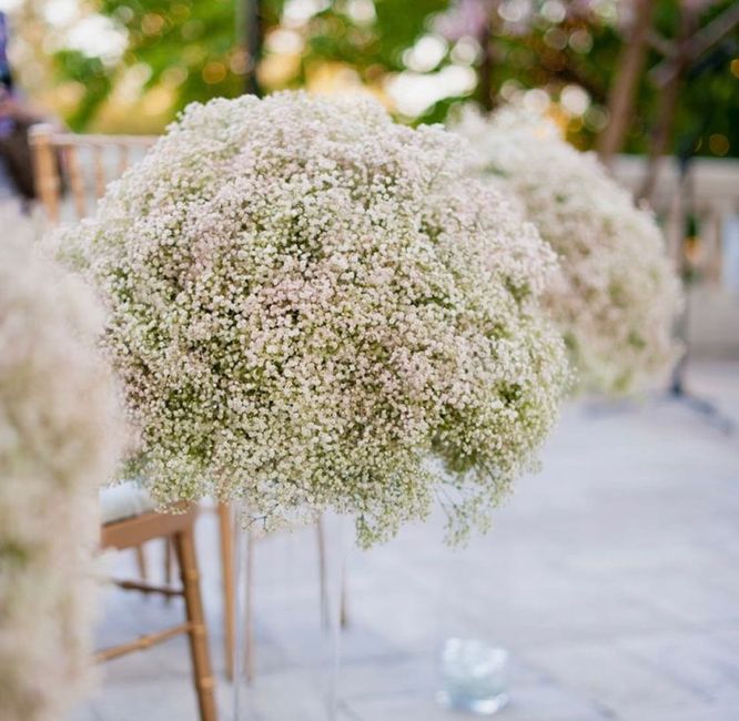 Help! Florist said beware of baby's breath for centerpieces! 6