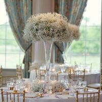 Help! Florist said beware of baby's breath for centerpieces! - 2