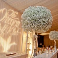 Help! Florist said beware of baby's breath for centerpieces! - 5