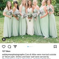 Bridesmaid Dress Color - 2