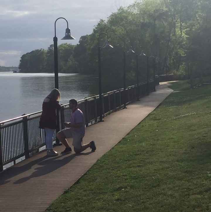 Proposal pictures!