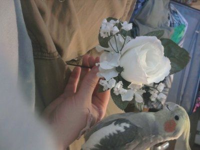 flowerd for the parents and guys