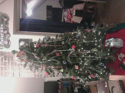 who needs christmas decoractions when........