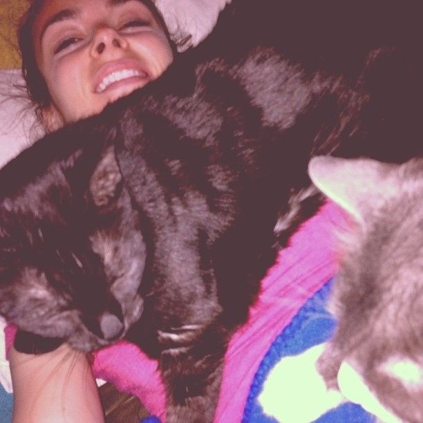 Since we are getting to know each other and everyone LOVES their fur babies!