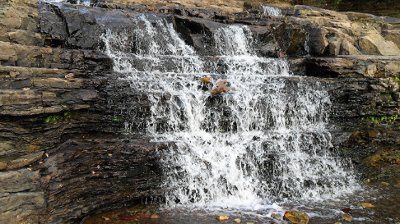 im in picture mood