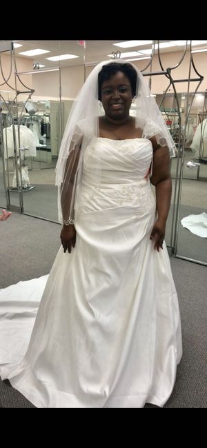 Let Me See Your Dresses: Plus Size Edition 2