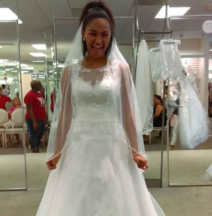 I GOT MY DRESS!