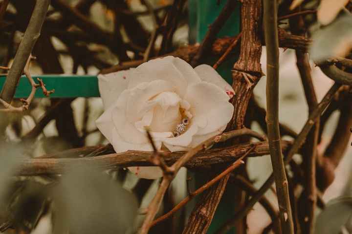 Engagement Pictures Master Thread 💍 - 4