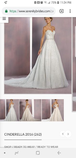 Disney Collection Formerly at Alfred Angelo - 1